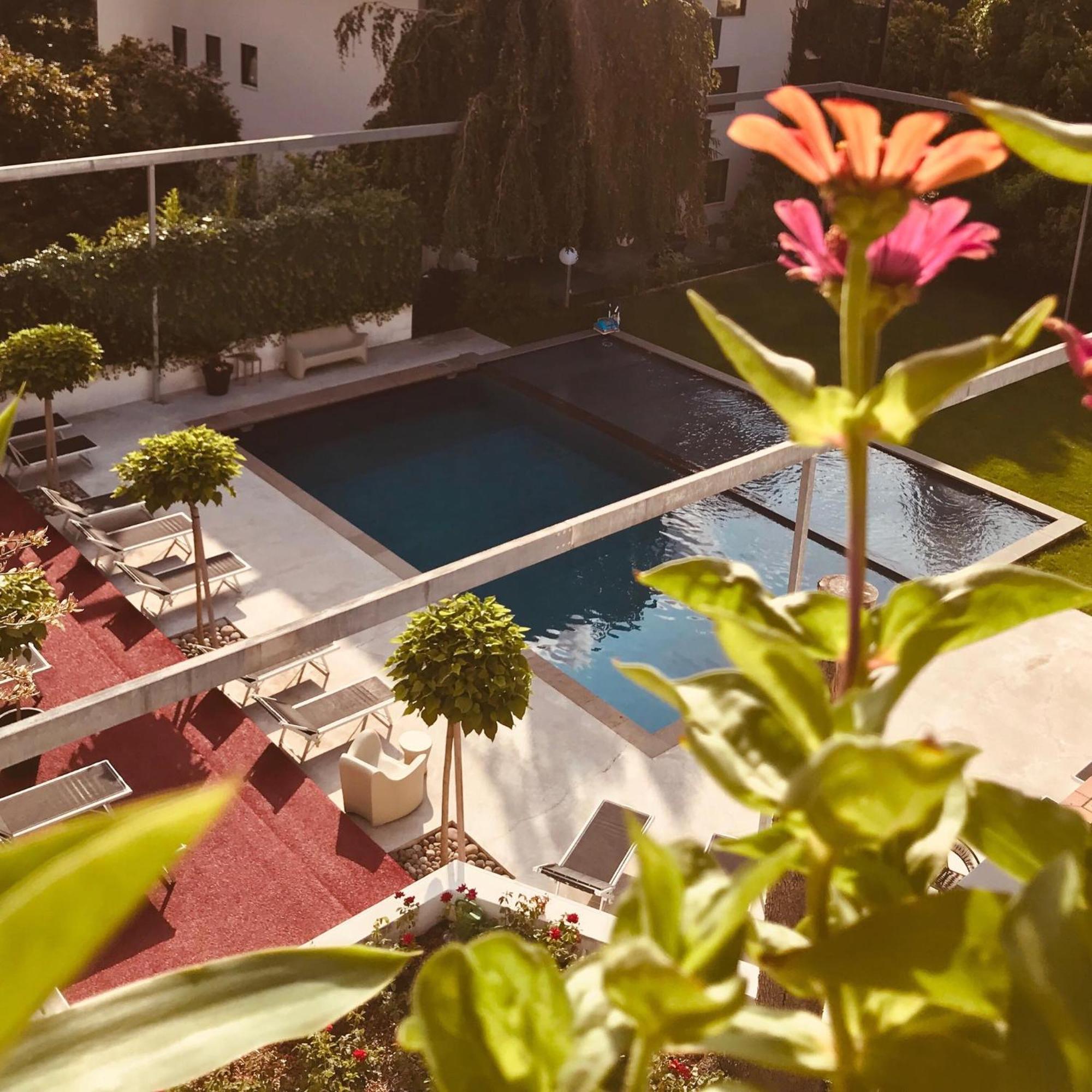 Goldfinger + Suites Lana Buitenkant foto